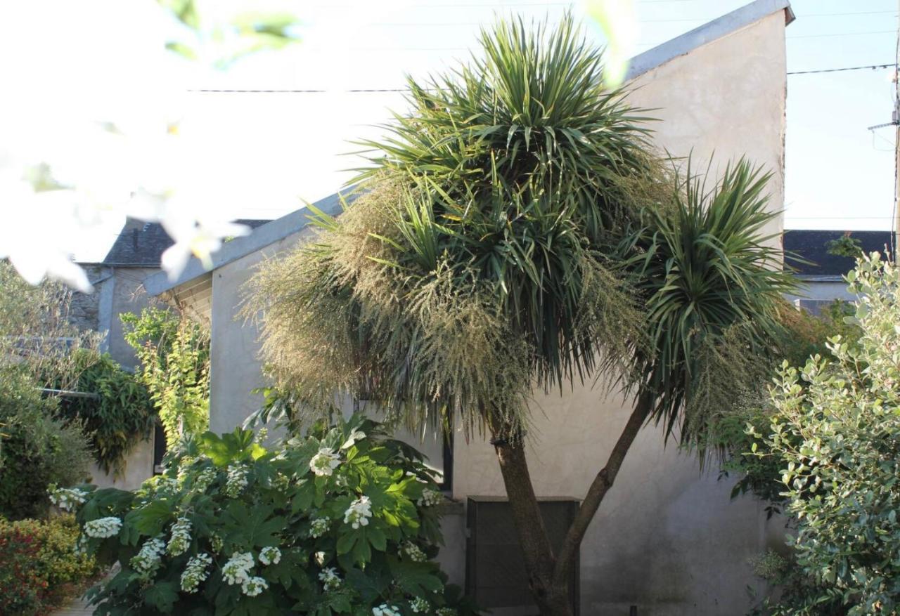 Duplex Confort Et Jardin Charmant Nantes Extérieur photo